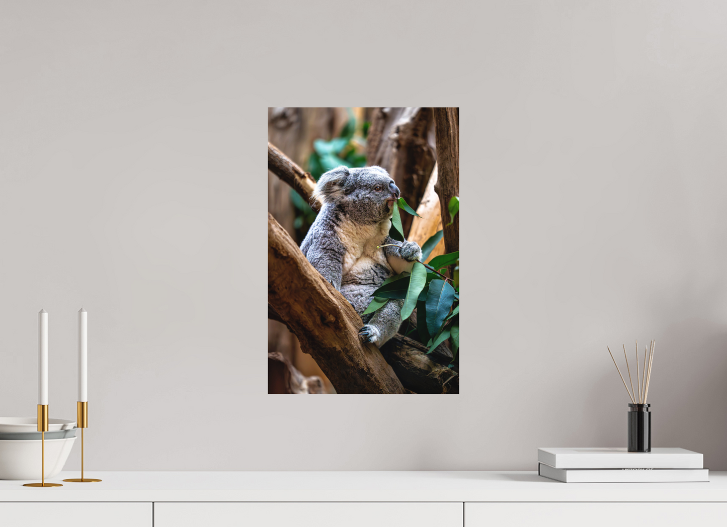 30 x 45 cm, Hahnemühle Photo Rag Bright White Koala in der Mittagspause