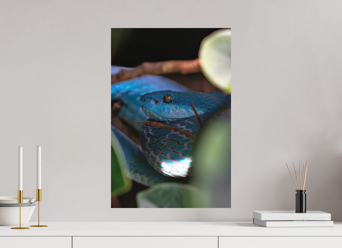 40 x 60 cm, Hahnemühle Photo Rag Bright White Viper im Verborgenen