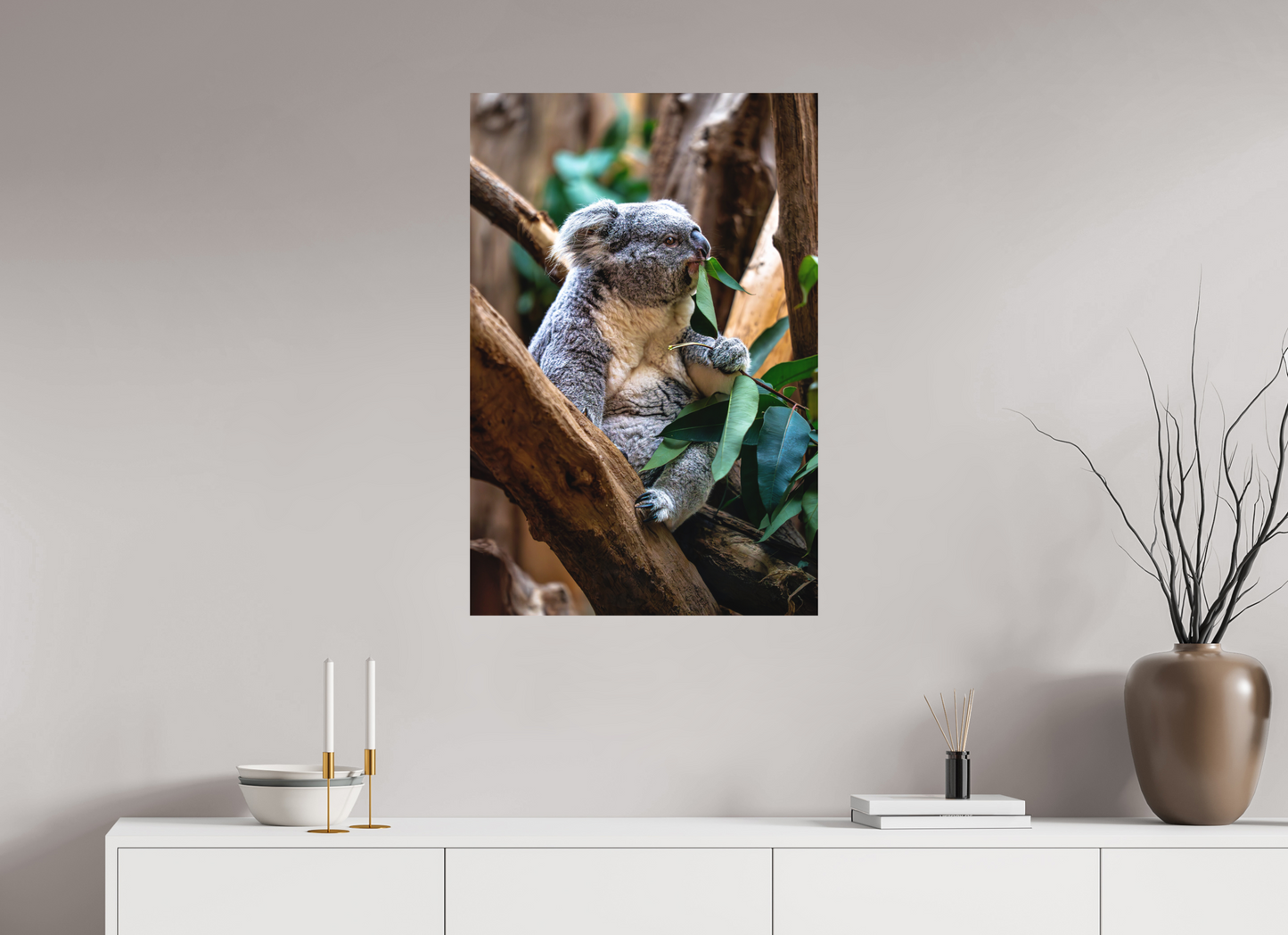60 x 90 cm, Hahnemühle Photo Rag Bright White Koala in der Mittagspause
