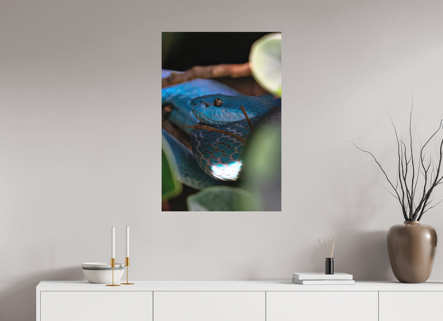 60 x 90 cm, Hahnemühle Photo Rag Bright White Viper im Verborgenen
