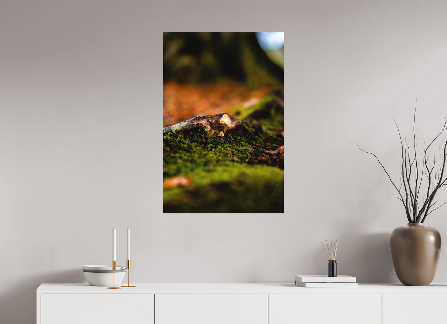60 x 90 cm, Hahnemühle Photo Rag Bright White Pilz im Moos