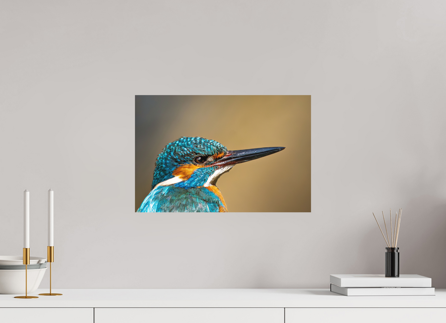 45 x 30 cm, Hahnemühle Photo Rag Bright White Eisvogel im Portrait