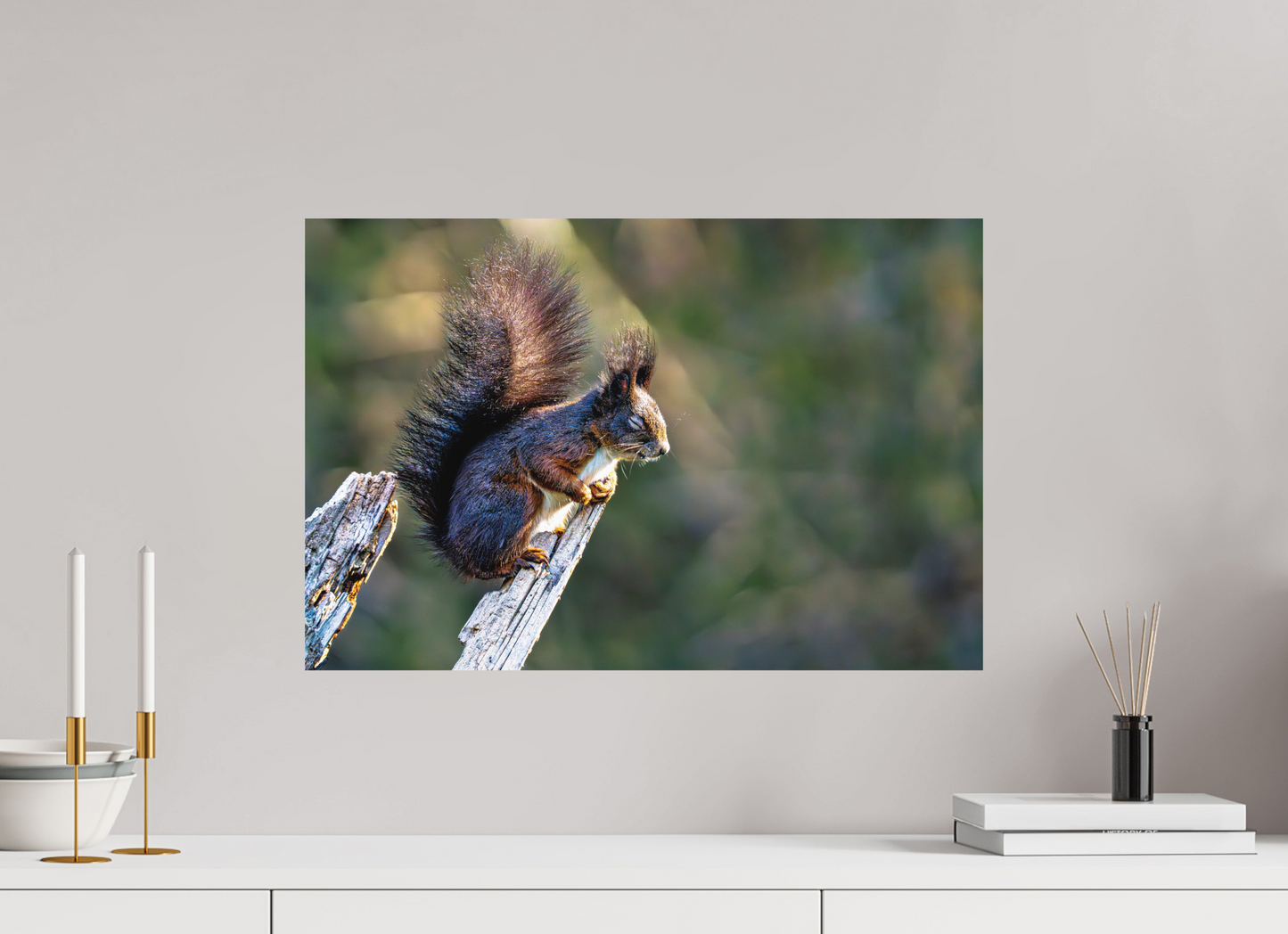 60 x 40 cm, Hahnemühle Photo Rag Bright White Morgensonne auf leiser Pfote