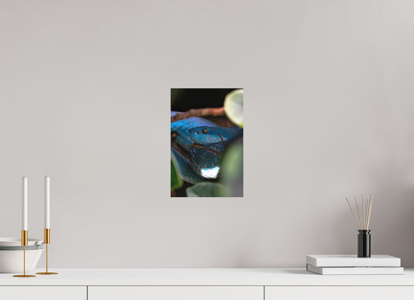 20 x 30 cm, Hahnemühle Photo Rag Bright White Viper im Verborgenen