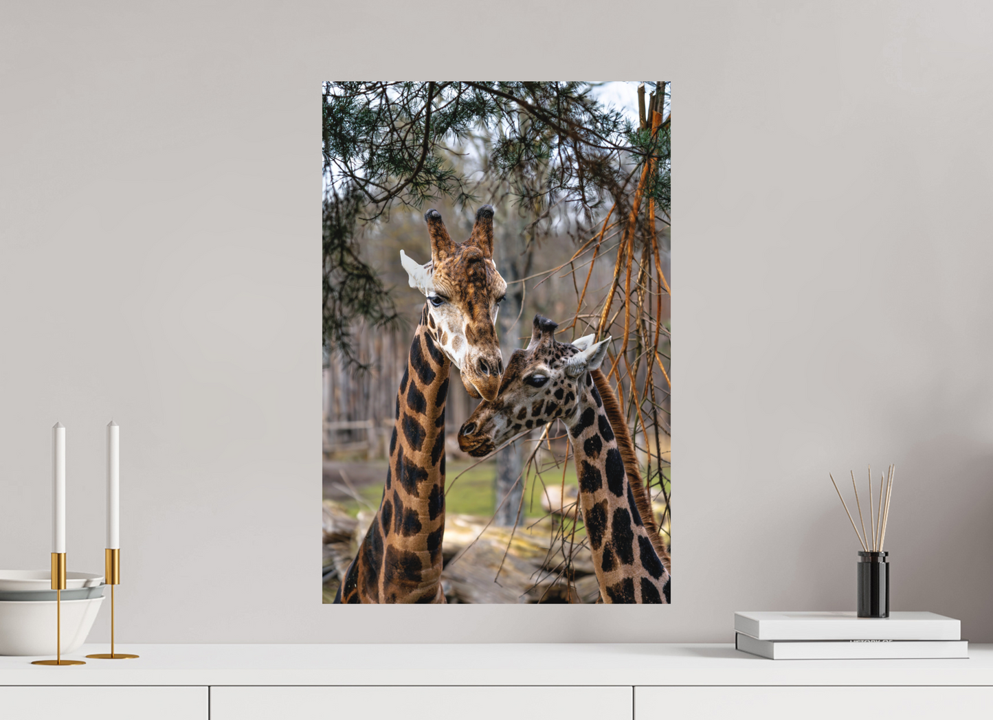 40 x 60 cm, Hahnemühle Photo Rag Bright White Giraffenmomente im Morgenlicht