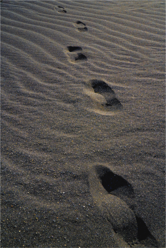 Main image Spuren im schwarzen Sand