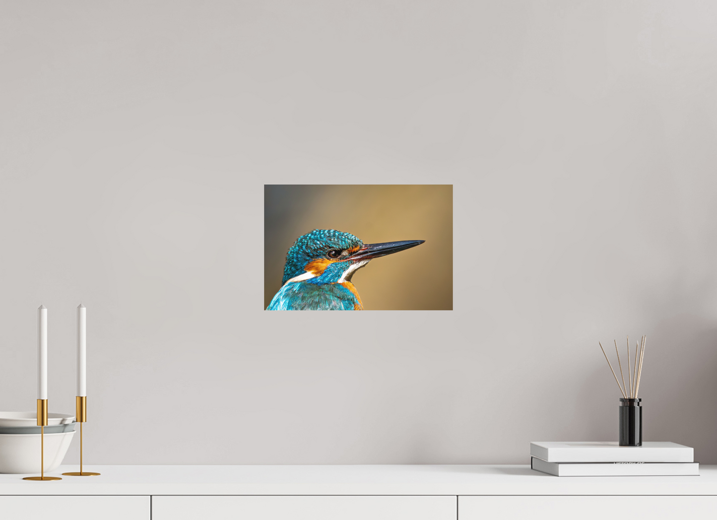 30 x 20 cm, Hahnemühle Photo Rag Bright White Eisvogel im Portrait