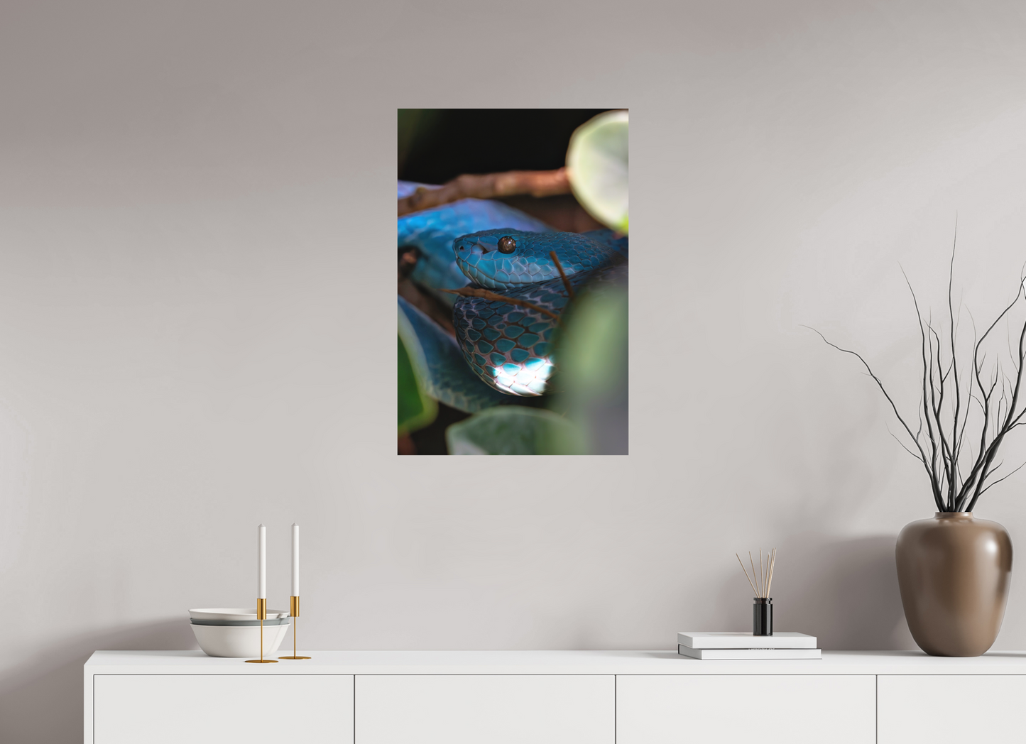 50 x 75 cm, Hahnemühle Photo Rag Bright White Viper im Verborgenen