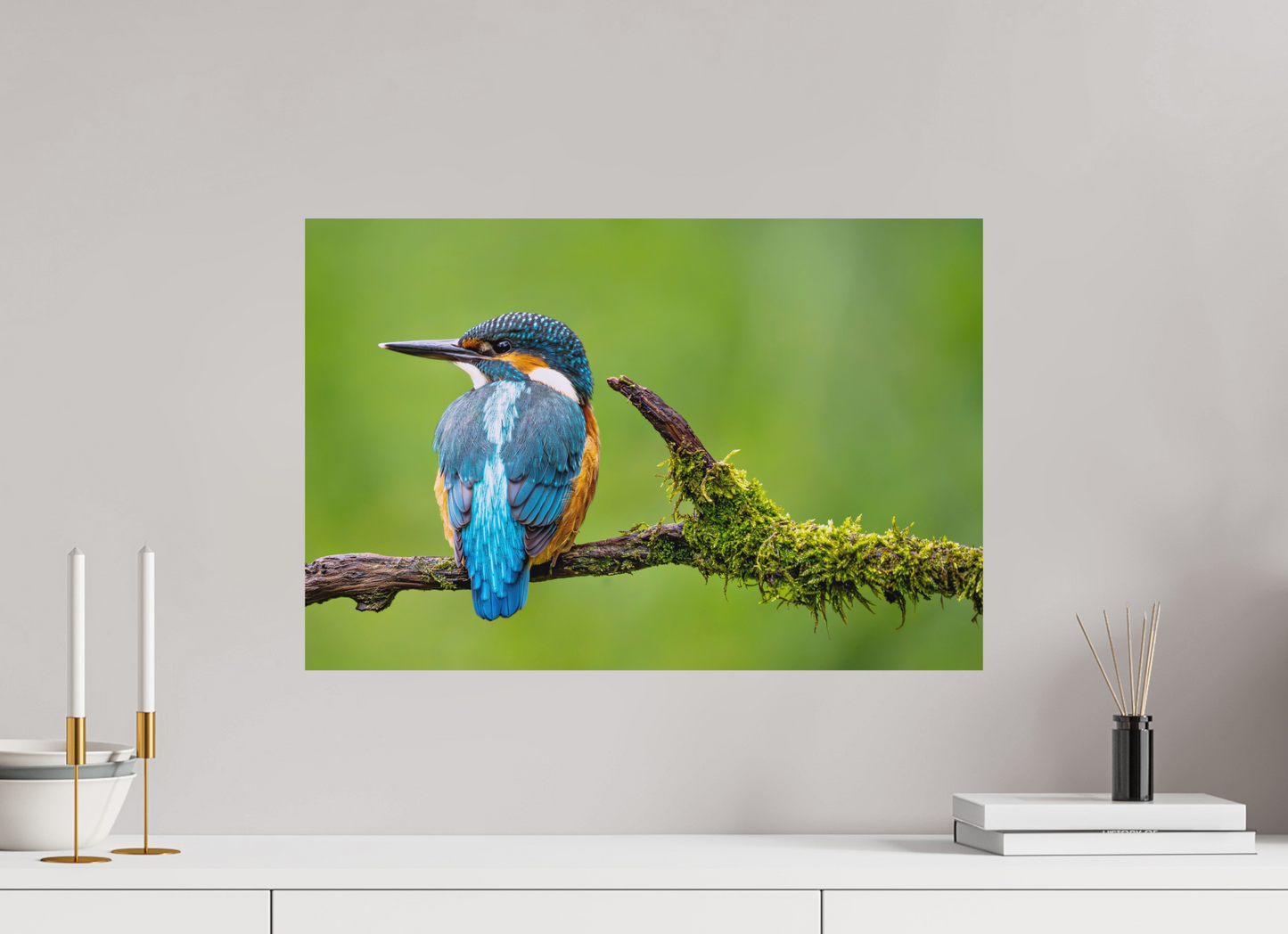 60 x 40 cm, Hahnemühle Photo Rag Bright White Eisvogel in Symmetrie