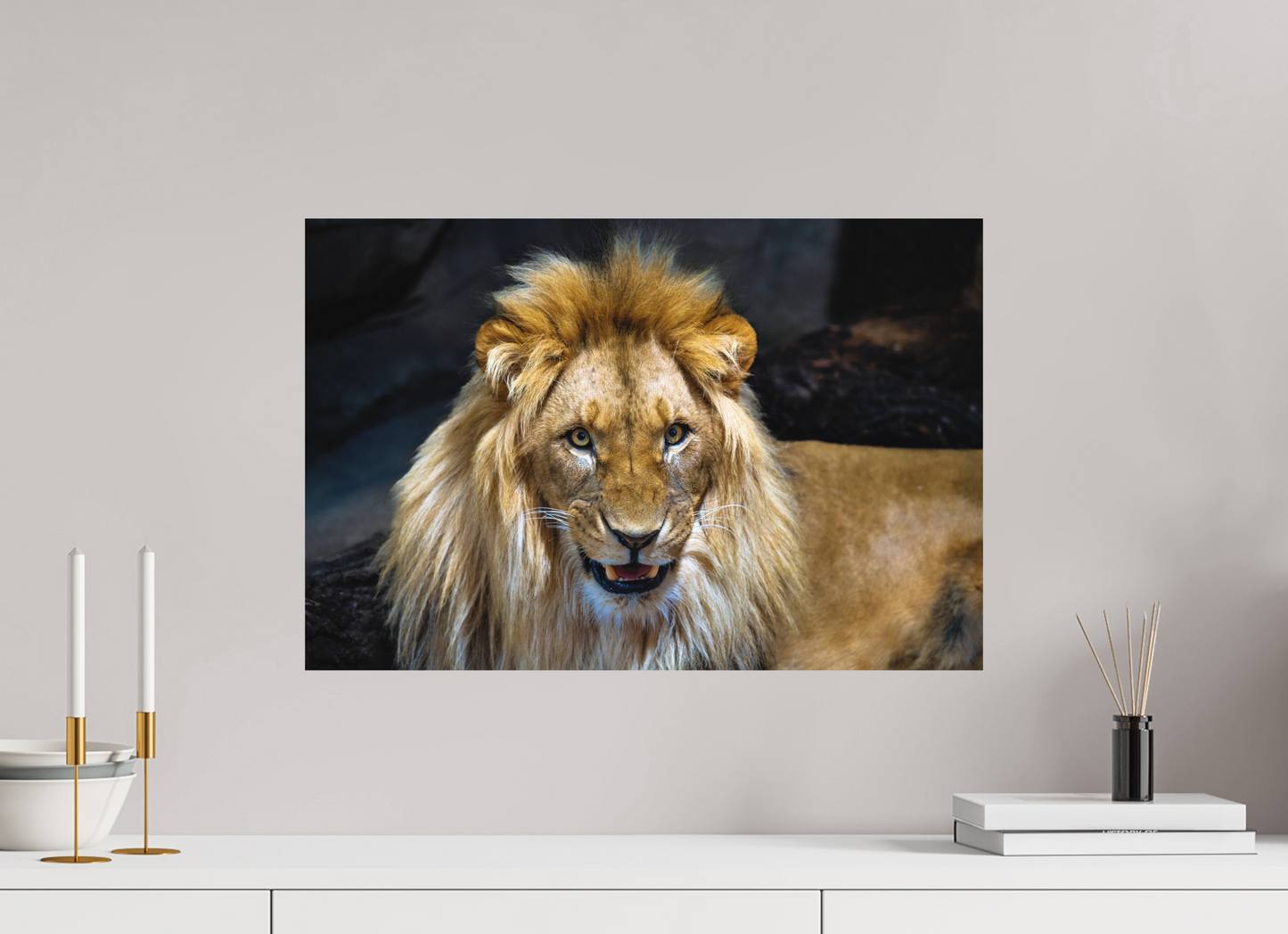 60 x 40 cm, Hahnemühle Photo Rag Bright White Stolzer Blick des Löwen