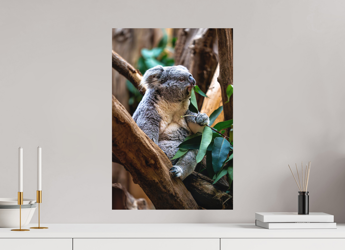 40 x 60 cm, Hahnemühle Photo Rag Bright White Koala in der Mittagspause