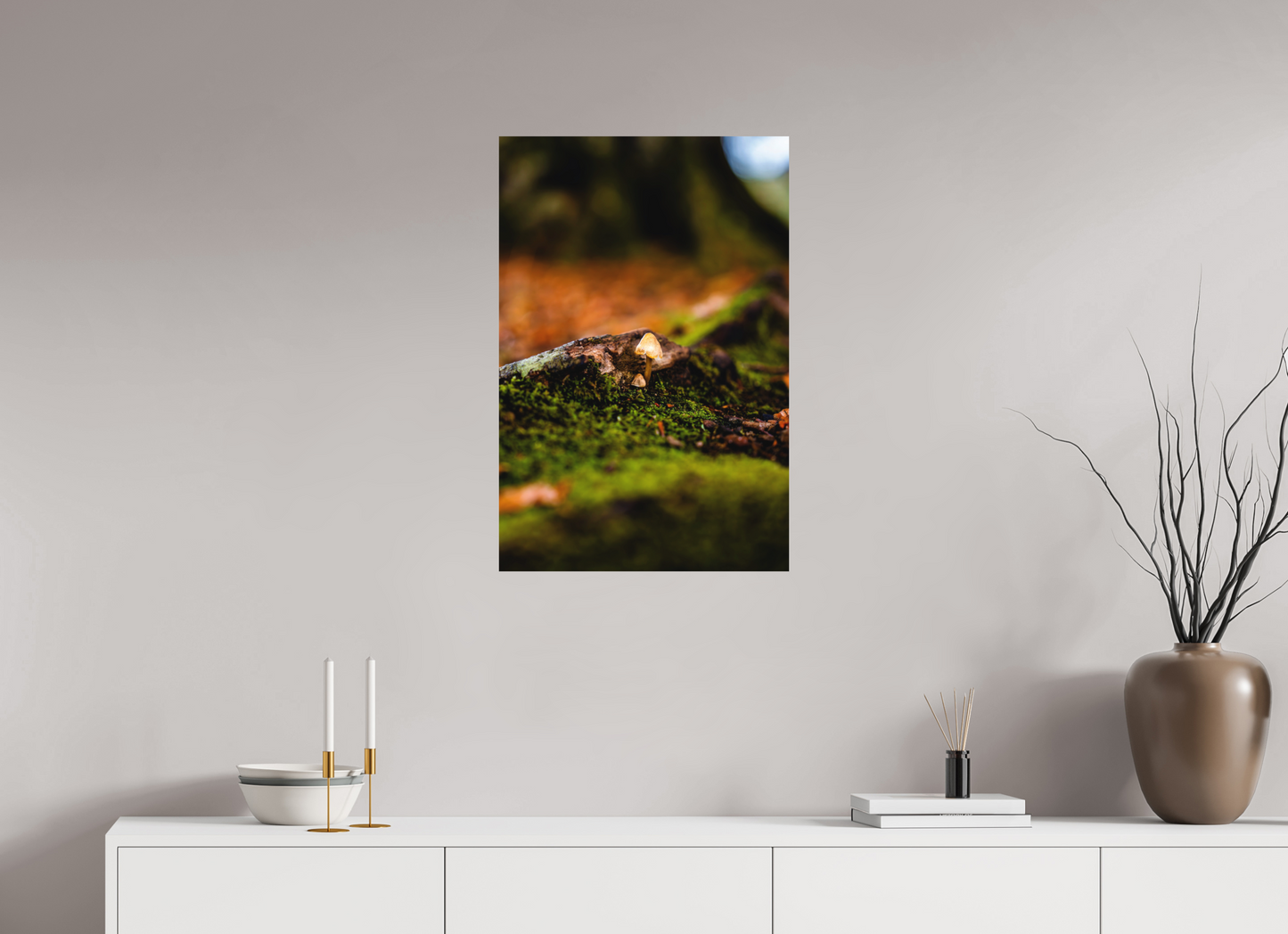 50 x 75 cm, Hahnemühle Photo Rag Bright White Pilz im Moos