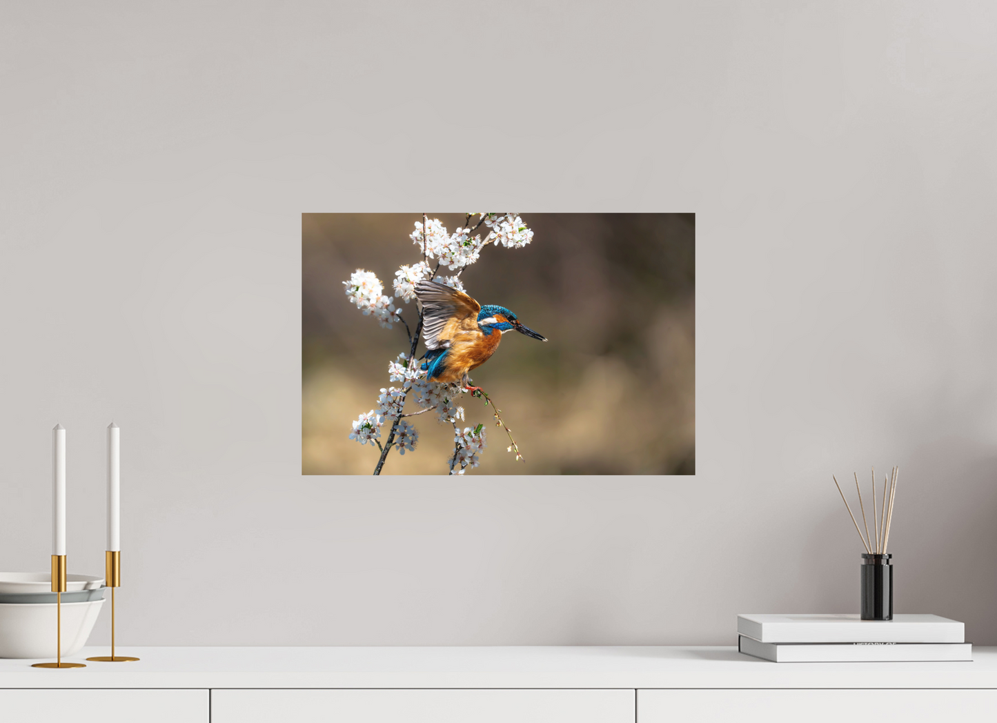 45 x 30 cm, Hahnemühle Photo Rag Bright White Frühlingsflug des Eisvogels