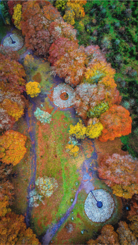 Main image Herbstliche Steinkreise aus der Luft