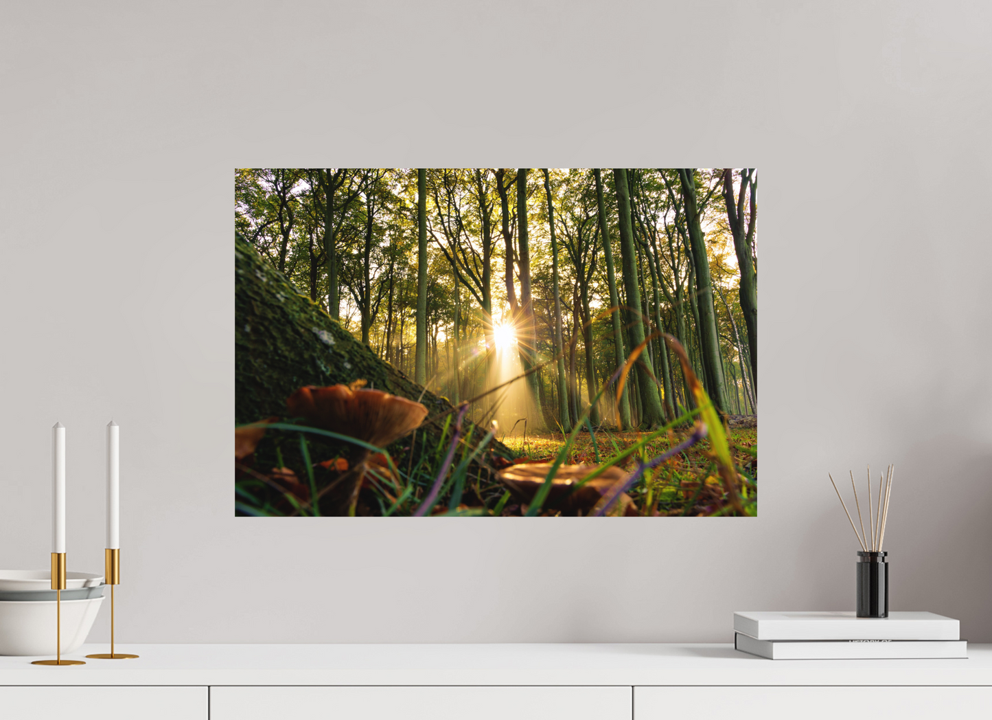 60 x 40 cm, Hahnemühle Photo Rag Bright White Sonnenstrahl im Gespensterwald