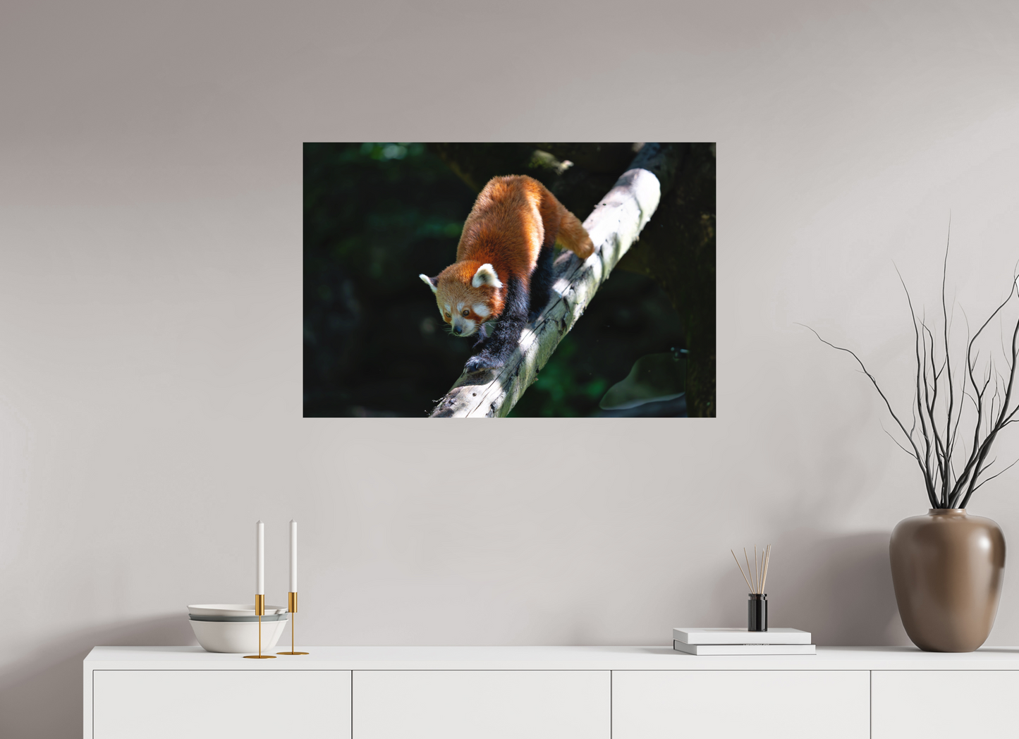 90 x 60 cm, Hahnemühle Photo Rag Bright White Roter Panda im Sonnenfleck