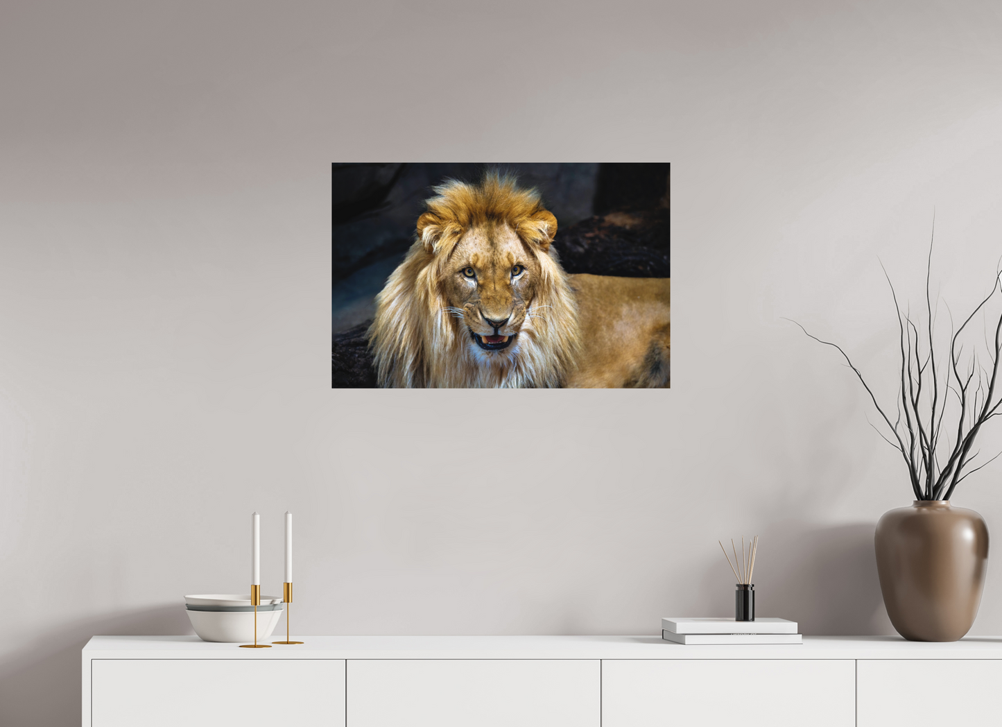75 x 50 cm, Hahnemühle Photo Rag Bright White Stolzer Blick des Löwen