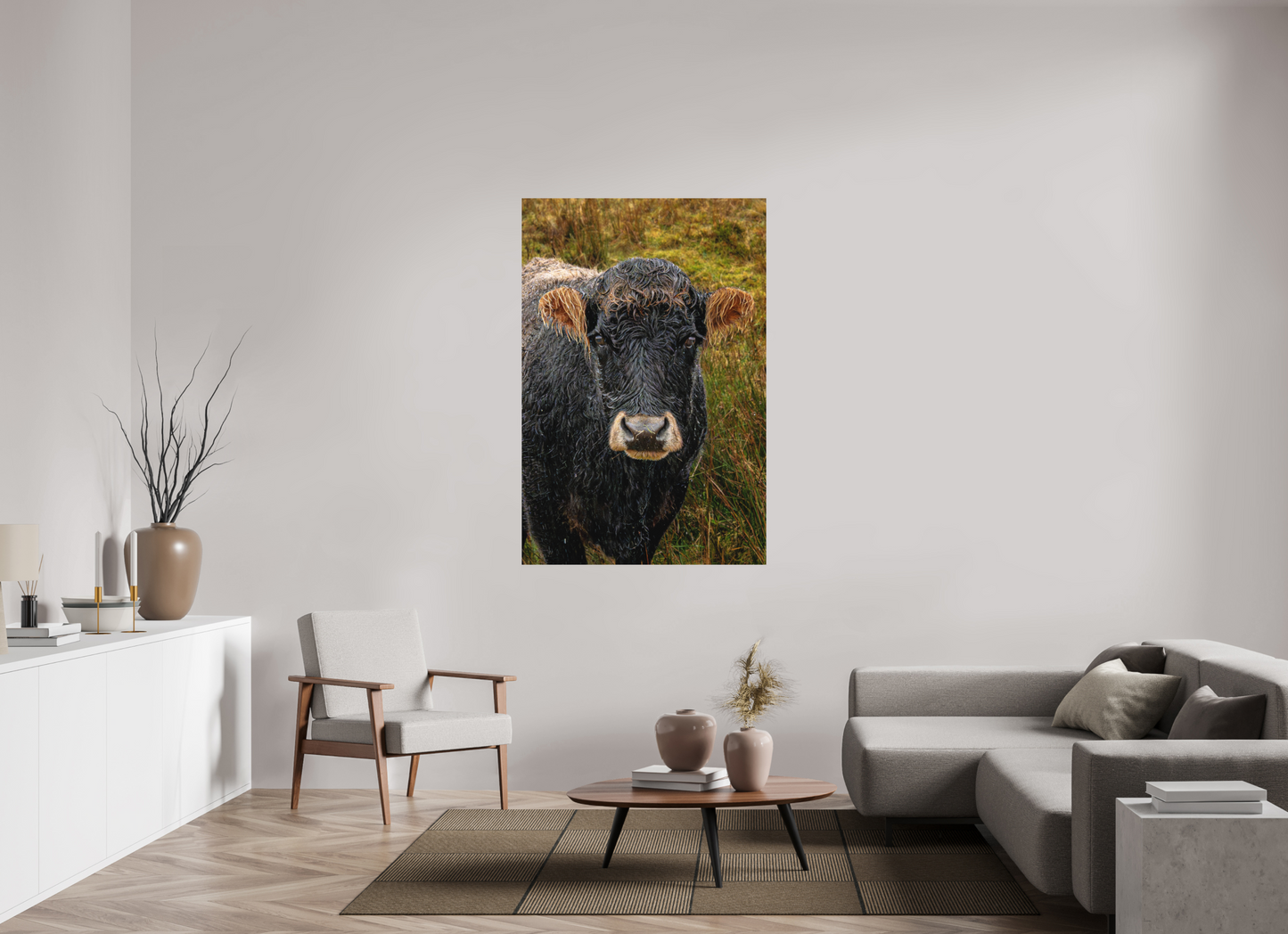 100 x 150 cm, Hahnemühle Photo Rag Bright White Schottisches Rind im Regen