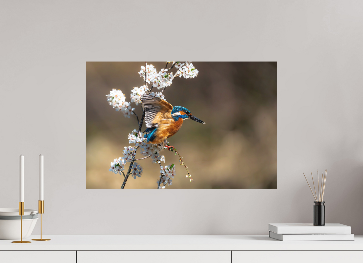 60 x 40 cm, Hahnemühle Photo Rag Bright White Frühlingsflug des Eisvogels