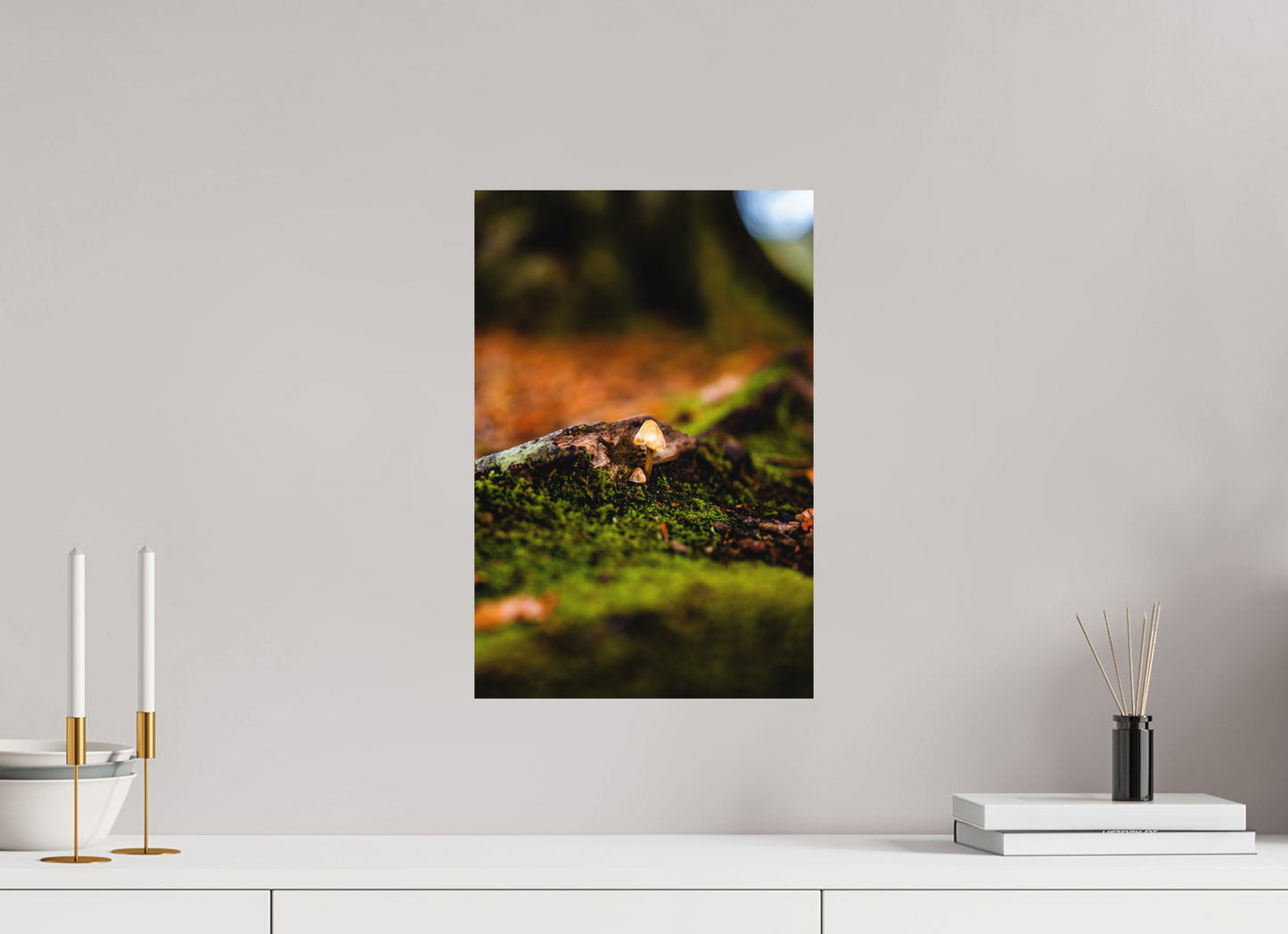 30 x 45 cm, Hahnemühle Photo Rag Bright White Pilz im Moos