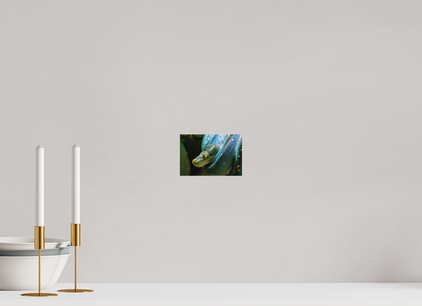 15 x 10 cm, Hahnemühle Photo Rag Bright White Goldenes Auge der Baumpython