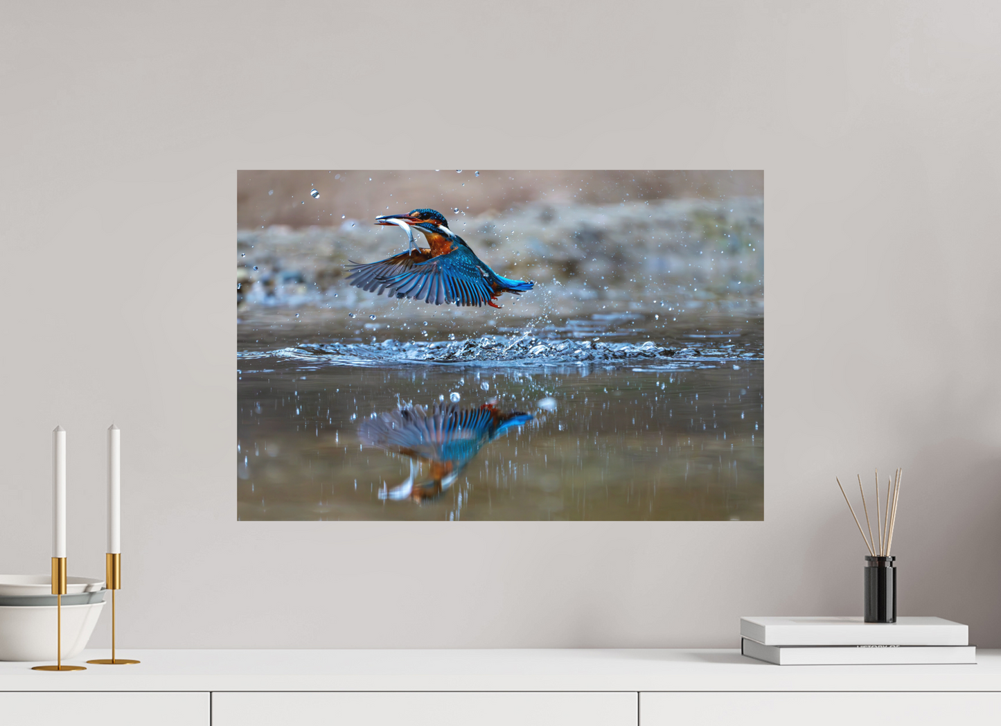 60 x 40 cm, Hahnemühle Photo Rag Bright White Jagdspiegelung des Eisvogels