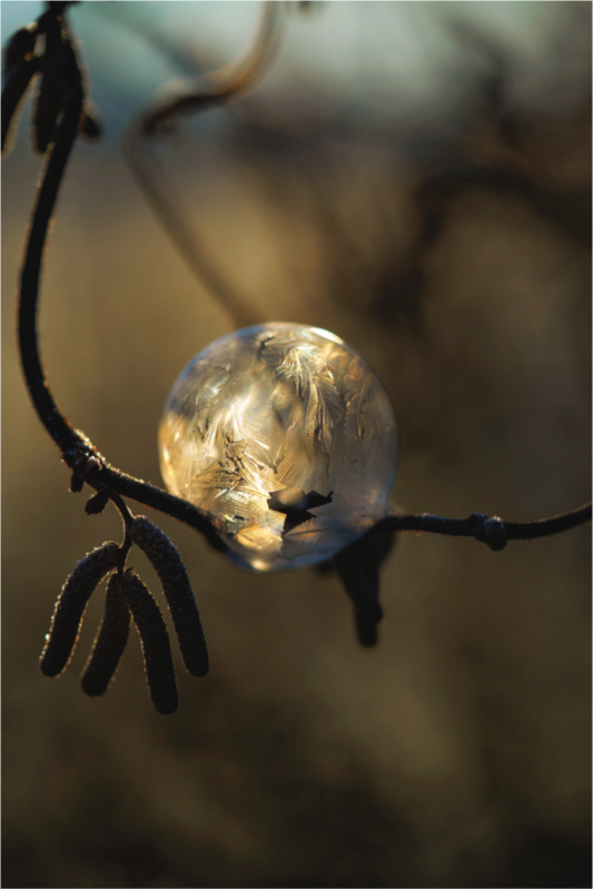 Main image Frozen Gold