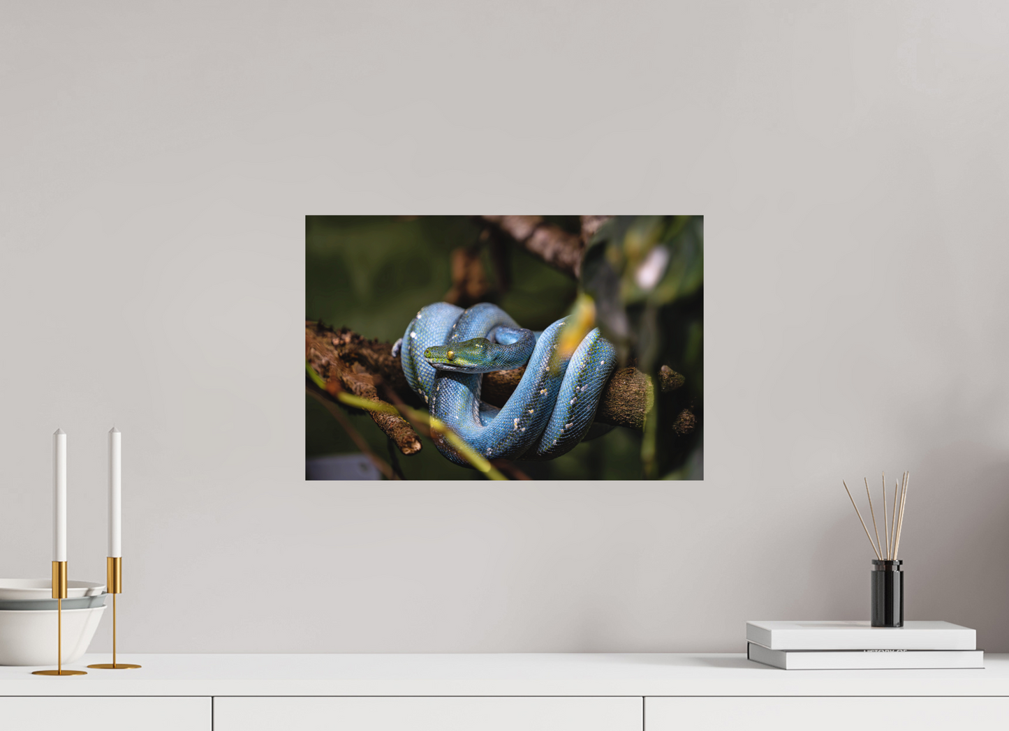 45 x 30 cm, Hahnemühle Photo Rag Bright White Smaragdruhe im Geäst