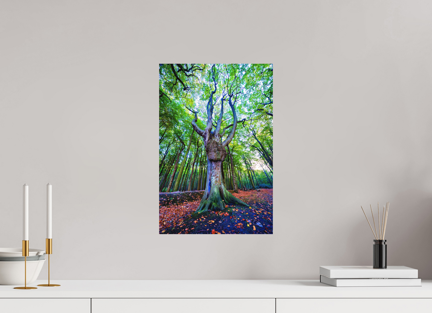 30 x 45 cm, Hahnemühle Photo Rag Bright White Der Wächter des Gespensterwaldes