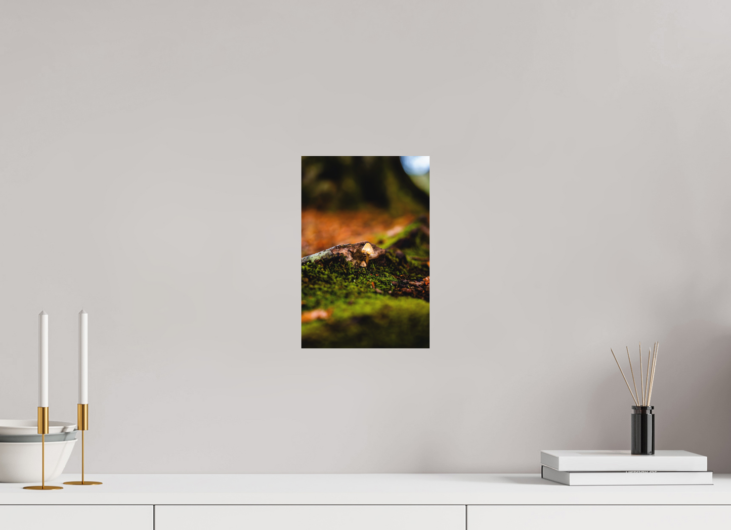 20 x 30 cm, Hahnemühle Photo Rag Bright White Pilz im Moos