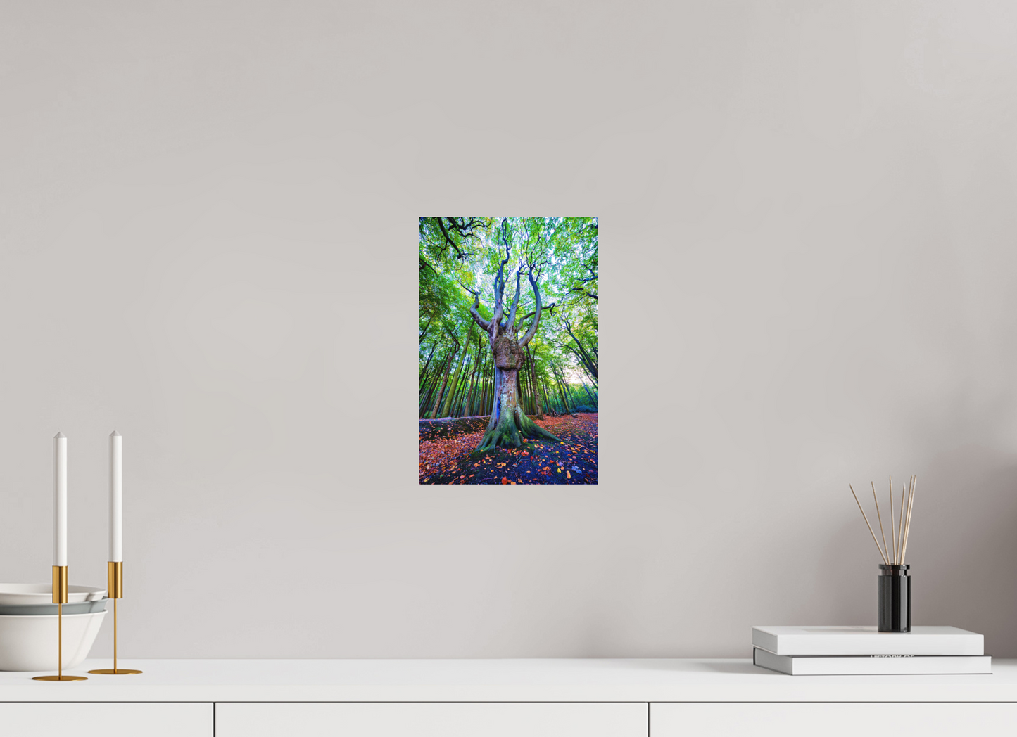 20 x 30 cm, Hahnemühle Photo Rag Bright White Der Wächter des Gespensterwaldes