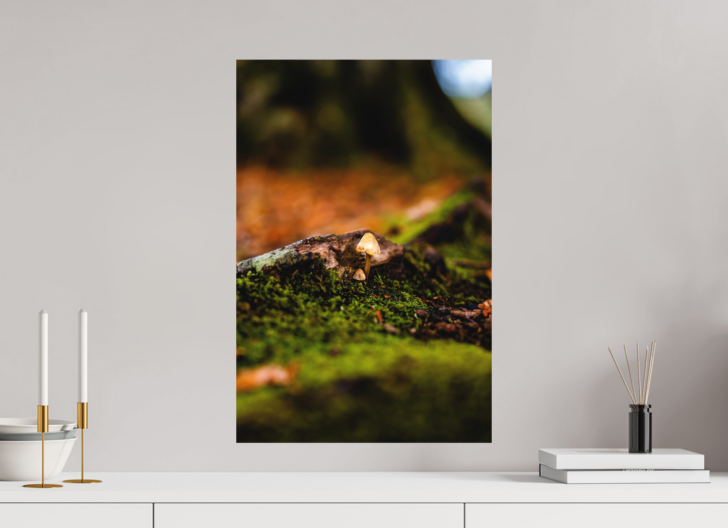 40 x 60 cm, Hahnemühle Photo Rag Bright White Pilz im Moos