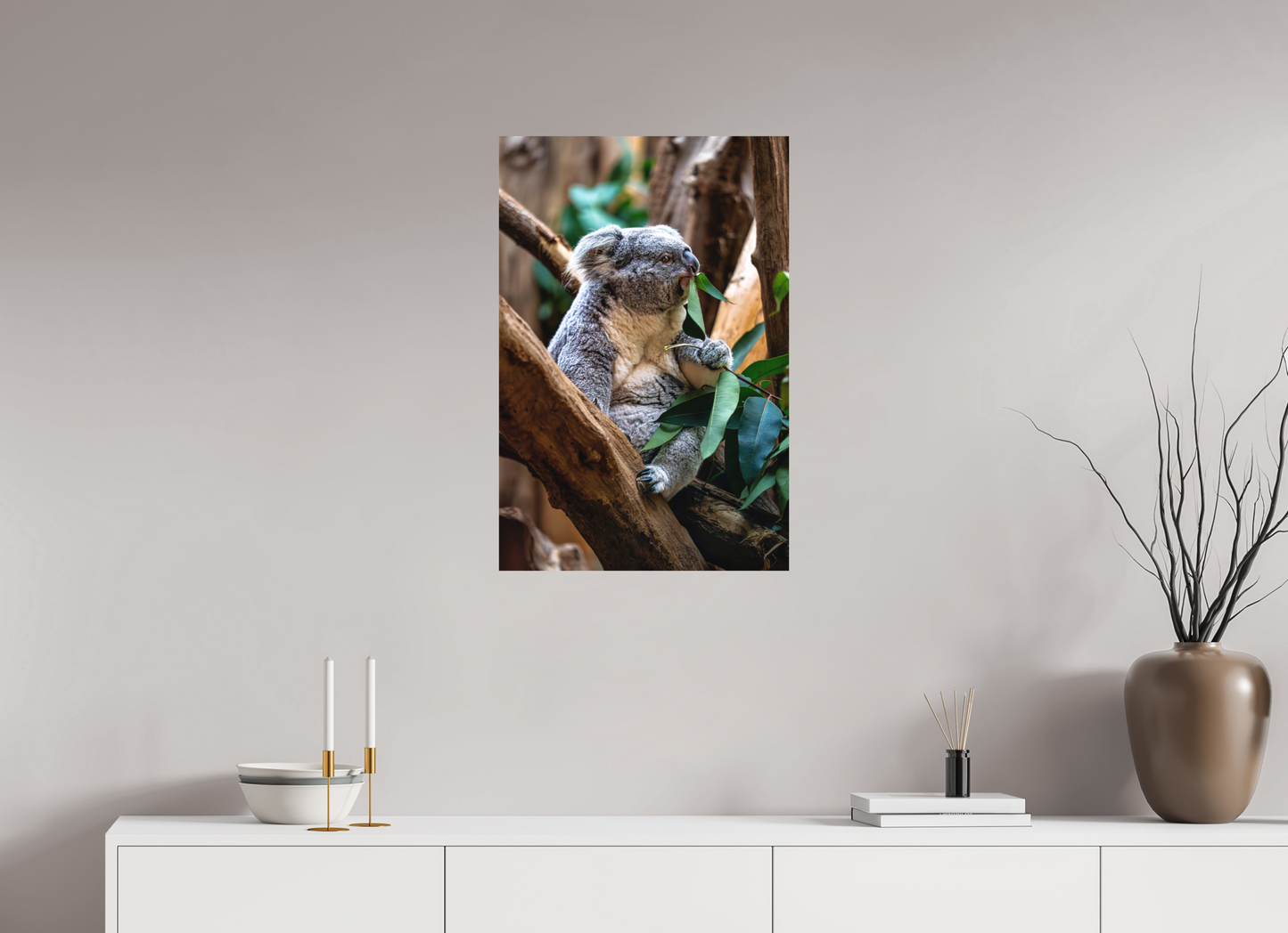 50 x 75 cm, Hahnemühle Photo Rag Bright White Koala in der Mittagspause