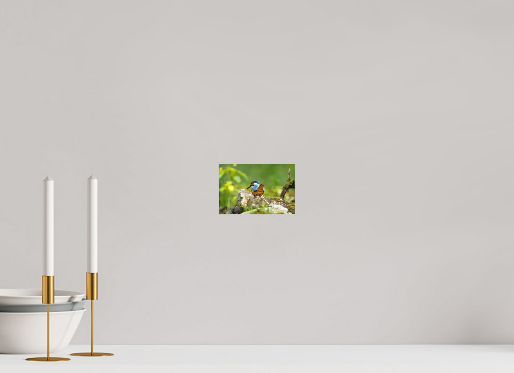 15 x 10 cm, Hahnemühle Photo Rag Bright White Sh*t, a Kingfisher