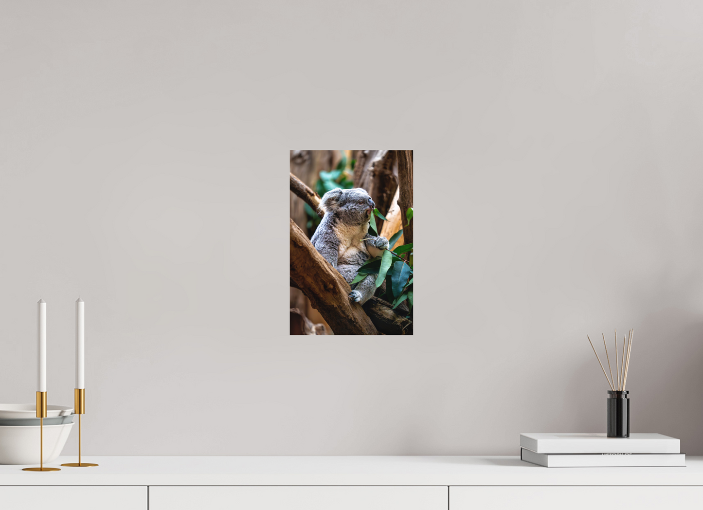 20 x 30 cm, Hahnemühle Photo Rag Bright White Koala in der Mittagspause