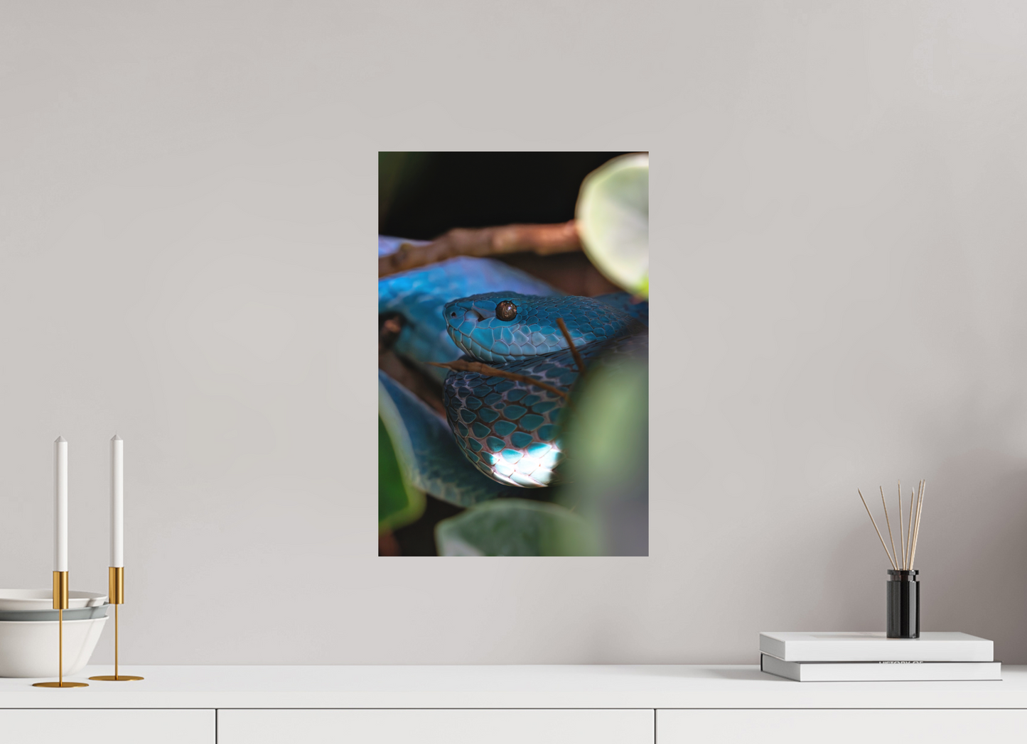 30 x 45 cm, Hahnemühle Photo Rag Bright White Viper im Verborgenen