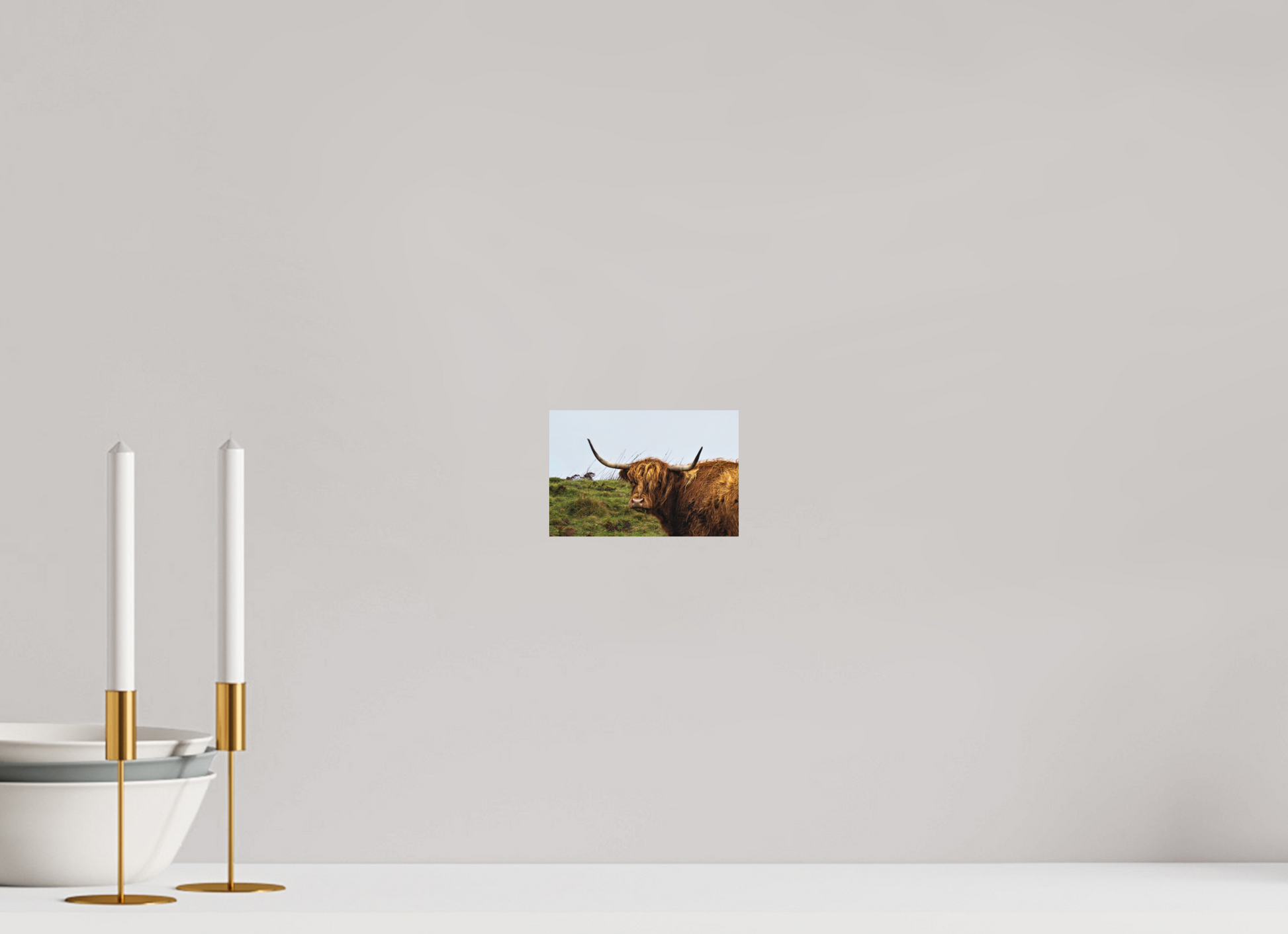 15 x 10 cm, Hahnemühle Photo Rag Bright White Highland Cow