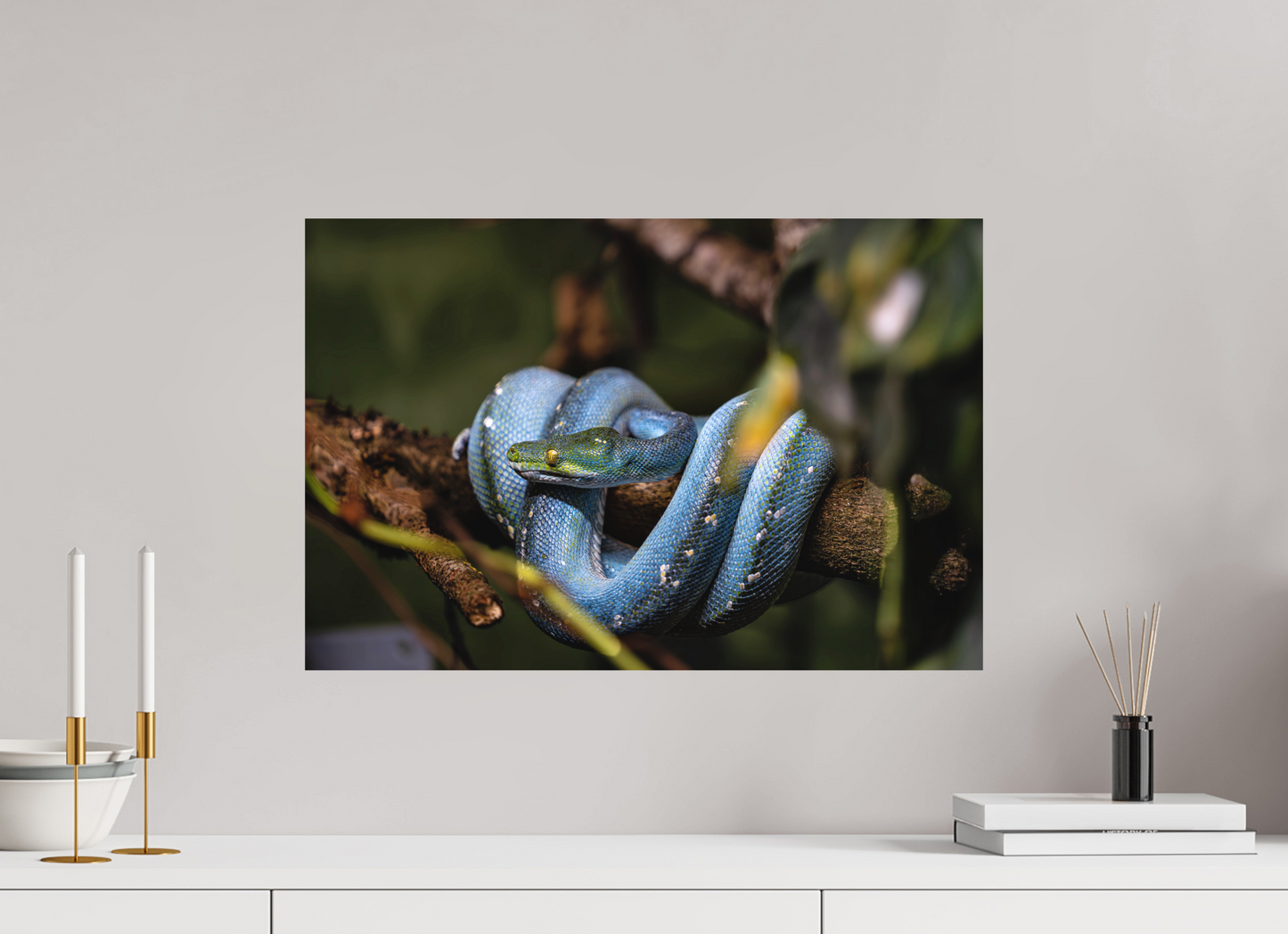 60 x 40 cm, Hahnemühle Photo Rag Bright White Smaragdruhe im Geäst