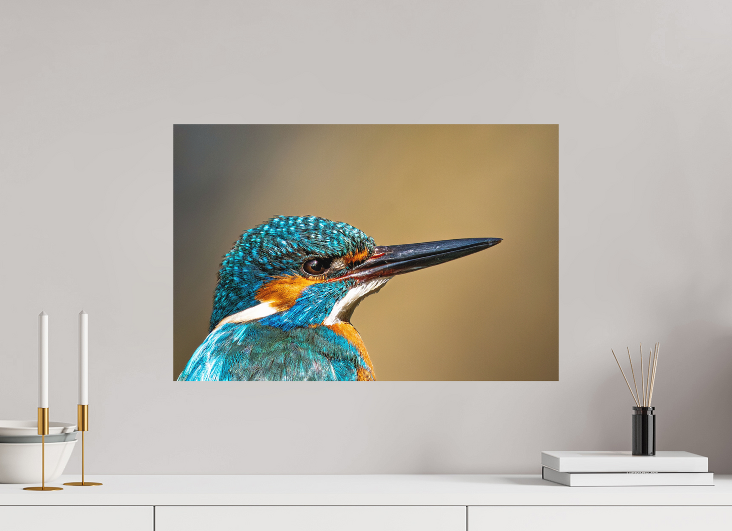 60 x 40 cm, Hahnemühle Photo Rag Bright White Eisvogel im Portrait