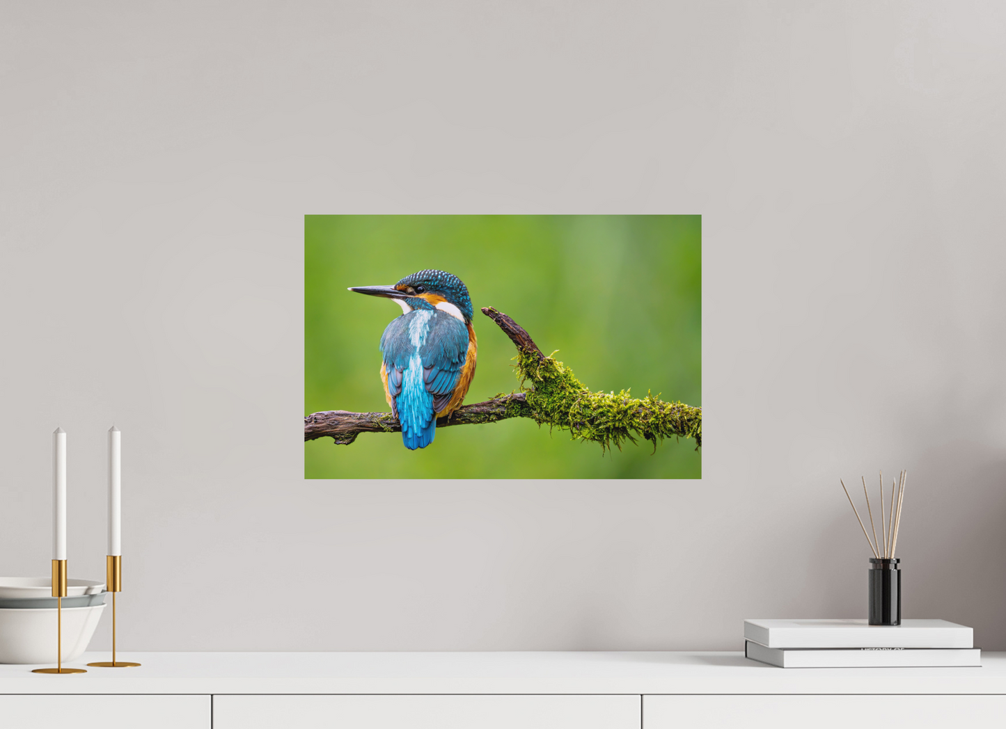 45 x 30 cm, Hahnemühle Photo Rag Bright White Eisvogel in Symmetrie