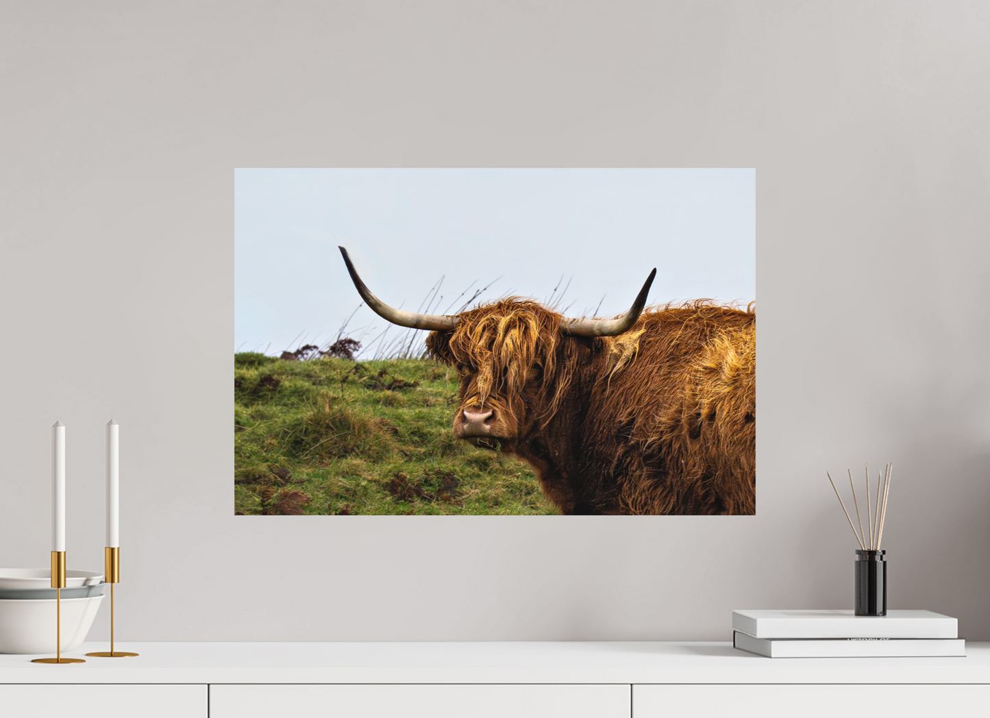 60 x 40 cm, Hahnemühle Photo Rag Bright White Highland Cow